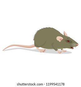 Evil Cartoon Rat Vector Clip Art Illustration. Angry Rat Sign Isolated On White Background. Harmful Rodent. House Mouse Vector Drawing.