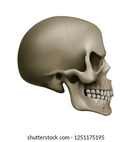 The Evil Human Skull. Illustration for a Game Design on White Background