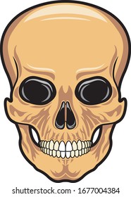 Evil human skull/ Vector illustration