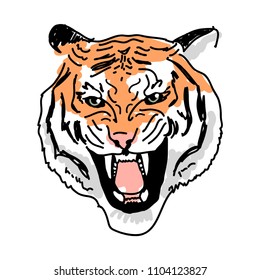 evil tiger on white background, tiger's head, vector stock illustration