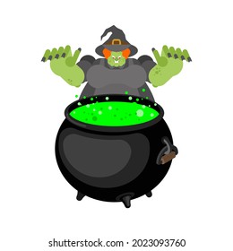 Evil witch isolated. Angry sorceress. vector illustration