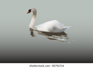 Evocative image of lonely swan swimming in still water