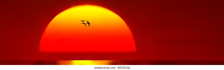 Evocative picture of birds flying in front of setting sun and beautiful red sky