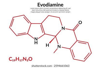 Evodiamine, chemical  compound, molecular structure formula, suitable for education or chemistry science content. Vector illustration