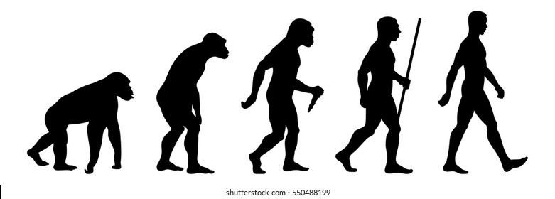 Evolutionary Stages Of Man Chart