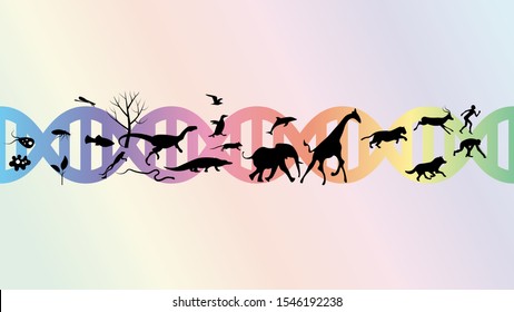 Evolution abstract illustration vector design