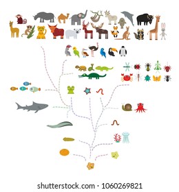 Evolution in biology, scheme evolution of animals isolated on white background. children's education, science. Evolution scale from unicellular organism to mammals. back to school. Vector