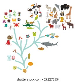 Evolution in biology, scheme evolution of animals isolated on white background. children's education, science. Evolution scale from unicellular organism to mammals. Vector
