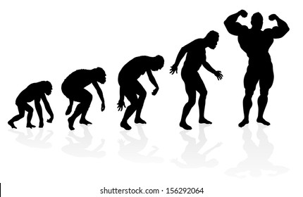 Evolution Of The Bodybuilder. Illustration Depicting The Evolution Of A Primate To Ape To Man To Bodybuilder In Silhouette. 