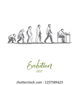 Evolution, businessman, programmer, primitive concept. Hand drawn figures of primates and humans, evolution concept sketch. Isolated vector illustration.