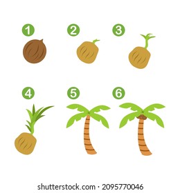 evolution of coconut trees, born of coconut trees vector design