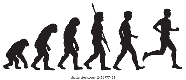 Evolution of the human from Darwin to the runner. Silhouettes with the different steps of evolution. vector illustration