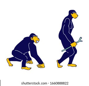 Evolution, Human Development Process Concept. Monkey Primate Evolve Steps From Ape to Upright Homo Sapiens Holding Stick in Hand, Darwin Theory, Anthropology. Cartoon Flat Vector Illustration Line Art