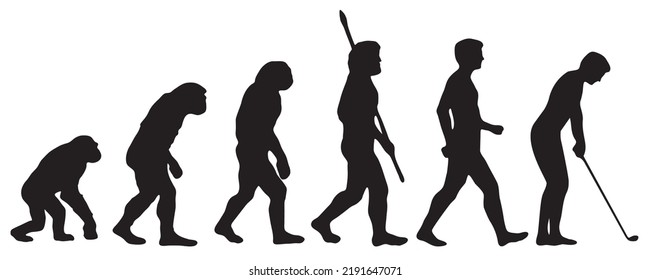 Evolution of the human to the golf. Silhouettes with the different steps of evolution Darwin. vector illustration