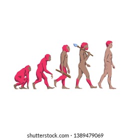 Evolution illustration on the white background