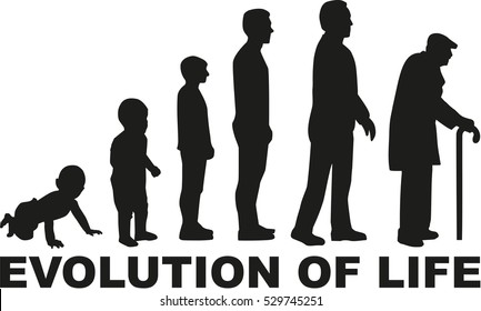 Evolution of life