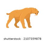 Evolution of life forms on Earth concept. Colorful sticker with extinct sabertoothed tiger. Quaternary period Cenozoic era. Wild animal. Cartoon flat vector illustration isolated on white background