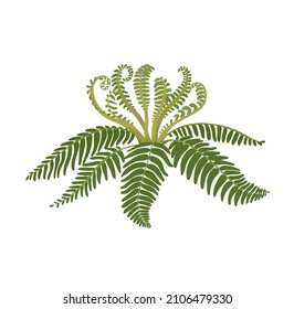 Evolution of life forms on Earth concept. Sticker with predecessors of ferns. Algae came to land. Ordovician period of Paleozoic era. Cartoon flat vector illustration isolated on white background