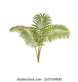 Evolution of life forms on Earth. Sticker with ancient green leaves fern. Predecessor of gymnosperms. Silurian period of Paleozoic Era. Cartoon flat vector illustration isolated on white background