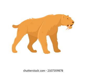 Evolution of life forms on Earth concept. Colorful sticker with extinct sabertoothed tiger. Quaternary period Cenozoic era. Wild animal. Cartoon flat vector illustration isolated on white background