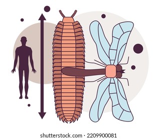 Evolution of life forms on Earth. Paleozoic era. Ancient trilobite and meganeura. Extinct gigantic animal compared to human high. Flat vector illustration