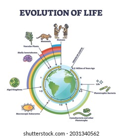 Evolution Life Round Timeline Living Creatures Stock Vector (Royalty ...