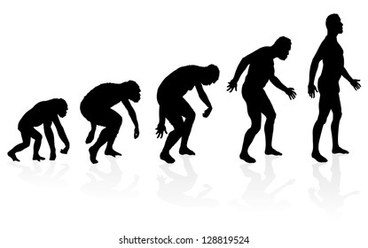 Evolution Of Man