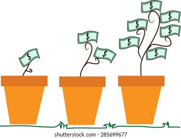 Evolution of money tree
