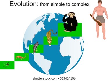 Evolution procecces on earth, from incsect to man