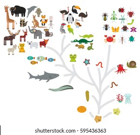 Evolution Scale From Unicellular Organism To Mammals. Evolution In Biology, Scheme Evolution Of Animals Isolated On White Background. Children's Education, Science. Vector Illustration
