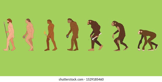 Evolution Of The Species From APE To Human