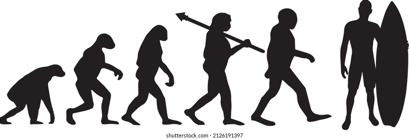 Evolution of the surfer. Symbol from monkey to surfer.