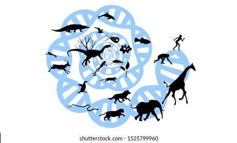 Evolution theory illustration vector design. Evolution of species. DNA - the molecule of life