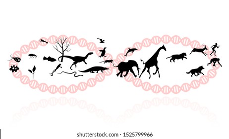 Evolution Theory Illustration Vector Design. Evolution Of Species. DNA - The Molecule Of Life