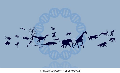 Evolution theory illustration vector design. Evolution of species. DNA - the molecule of life