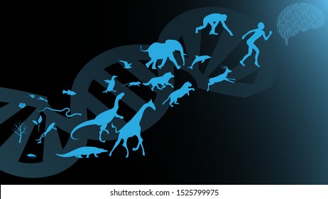 Evolution Theory Illustration Vector Design. Evolution Of Species. DNA - The Molecule Of Life