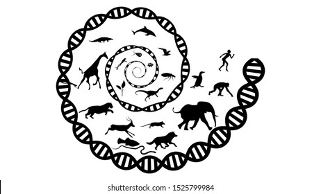 Evolution theory illustration vector design. Evolution of species. DNA - the molecule of life