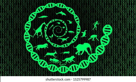 Evolution Theory Illustration Vector Design. Evolution Of Species. DNA - The Molecule Of Life