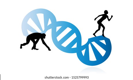 Evolution theory illustration vector design. Evolution of species. DNA - the molecule of life