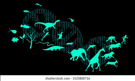 Evolution Theory Illustration Vector Design. Evolution Of Species. DNA - The Molecule Of Life