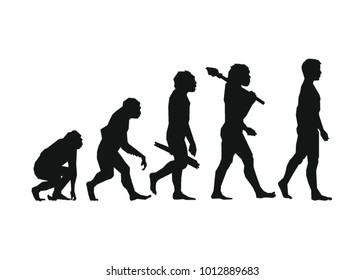 Evolution Vector Icon