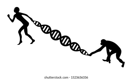 Evolution vector illustration. Human and chimpanzee genome identical