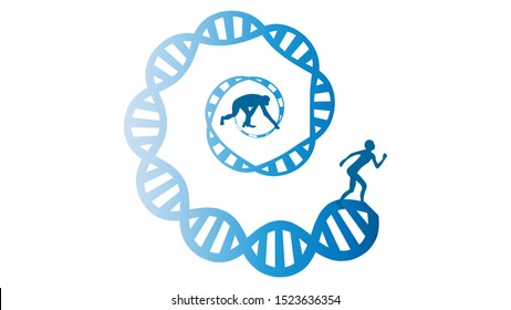 Evolution vector illustration. Human and chimpanzee genome identical