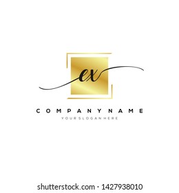 EX handwriting initial logo template vector.