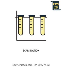 examination icons  symbol vector elements for infographic web