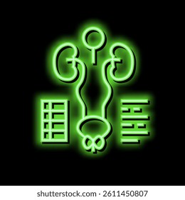 examining genitourinary system neon light sign vector. examining genitourinary system illustration