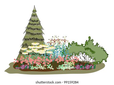 Example of creating a flower garden with daisies, lilies and other plants. Design a flower bed on the background of spruce and shrubs. The picturesque island of flowers.