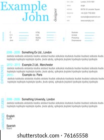 Example curriculum vitae CV vector