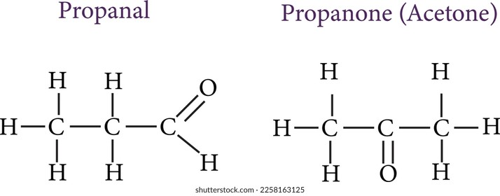 An example of functional isomerism , vector image