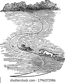 An example of inertia, a hare that tries to escape from a hound, in which the continuous line shows the hare's path and the dotted line the hound's path, vintage line drawing or engraving.